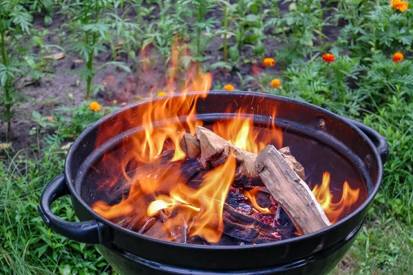 Açık havada kamp ateşi yaklaştı.