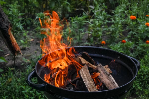 Açık havada kamp ateşi yaklaştı.