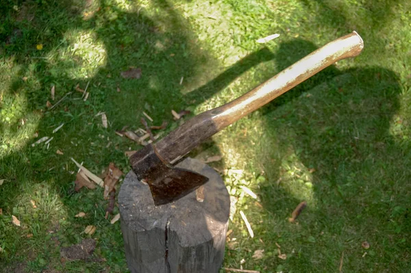 Balta ahşap kaplama kompozisyonu