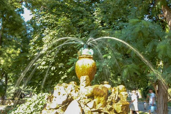 Fontaine Dans Composition Parc Central Ville — Photo