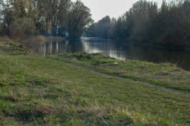 Geniş nehir ve orman manzarası