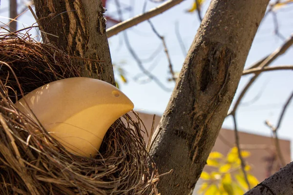 Ceramic bird in a nest