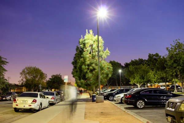 Geceleri parkta uzun pozlama fotoğrafçılığı