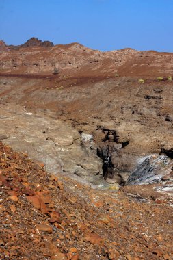 Canon EOS 350D DIGITAL, Fotoğraf 2009, Birleşik Arap Emirlikleri