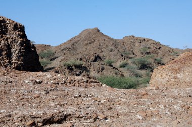 Canon EOS 350D DIGITAL, Fotoğraf 2009, Birleşik Arap Emirlikleri