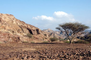 Canon EOS 350D DIGITAL, Fotoğraf 2009, Birleşik Arap Emirlikleri
