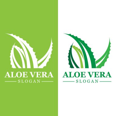 Yeşil bitki aloe vera logo vektör simgesi birçok fayda