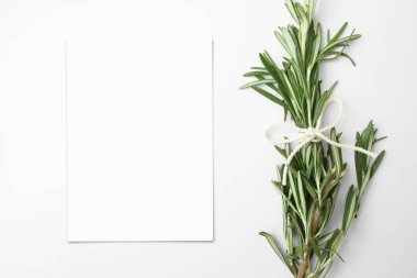 Beyaz bir masanın üzerinde biberiyeli bitki demeti olan boş bir tebrik kartı. Yemek, mutfak bitkisi. Üst görünüm, düz görünüm, beyaz kopya alanı. 