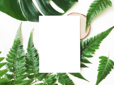 Tropik yaz modelleme sahnesinde boş tebrik kartı. Yeşillikler, bitkiler, yapraklar, doğa, odun dilimleri. Canavar yaprağı, eğrelti otu yaprağı. Üst görünüm, düz görünüm, beyaz kopya alanı. 