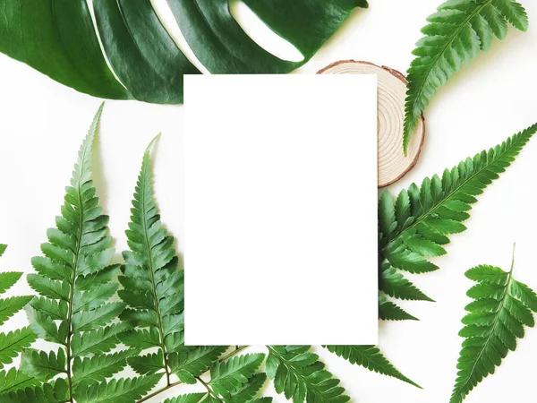 Tropik yaz modelleme sahnesinde boş tebrik kartı. Yeşillikler, bitkiler, yapraklar, doğa, odun dilimleri. Canavar yaprağı, eğrelti otu yaprağı. Üst görünüm, düz görünüm, beyaz kopya alanı. 