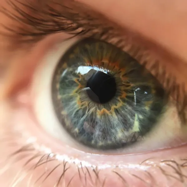 Macro photo of the eye. Eye in macro shooting — Stock Photo, Image