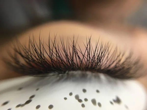 Female Eye Long Eyelashes Eyelashes Close Macro Selective Focus — Stock Photo, Image