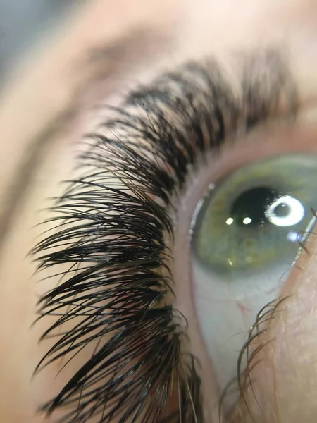 Female Eye Long Eyelashes Close Female Grey Green Colored Eyes —  Fotos de Stock