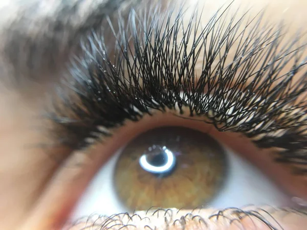 Female Eye Long Eyelashes Close Female Brown Eyes Beauty Female — Foto de Stock
