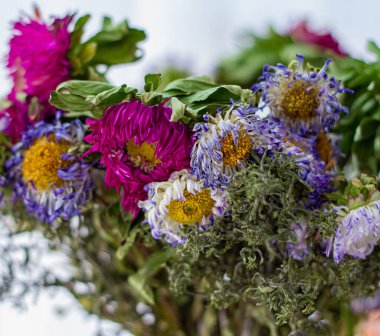 Old bouquet. Close-up of withered flowers. The concept of life and death. Withered flower background