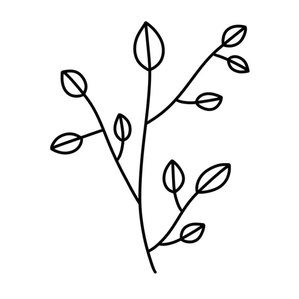 Doodle line art black flower for fabrics and packaging — Stock Photo, Image