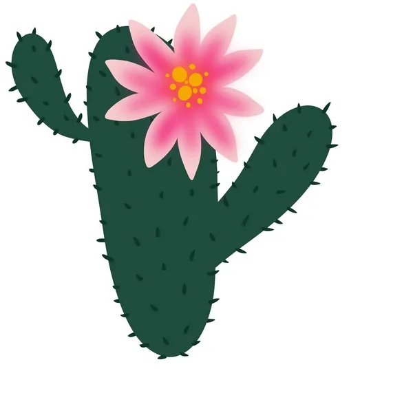 Doodle cactus and flower for fabrics and textiles — Stock Photo, Image