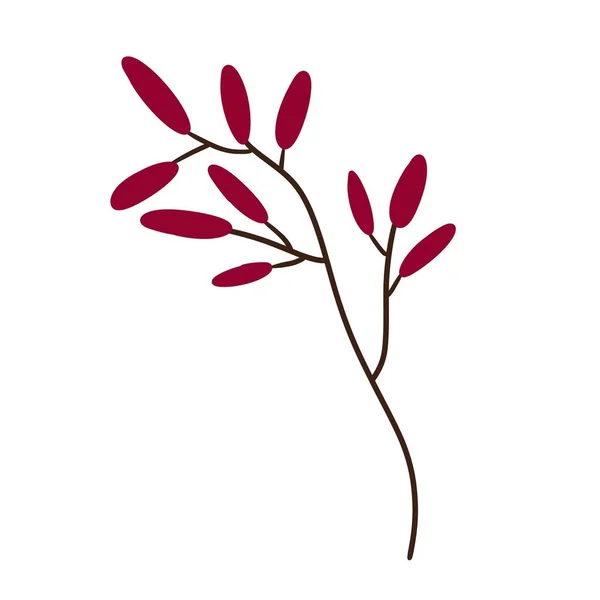 Doodle red line art barberry for fabrics and textiles and linens — Stock Photo, Image