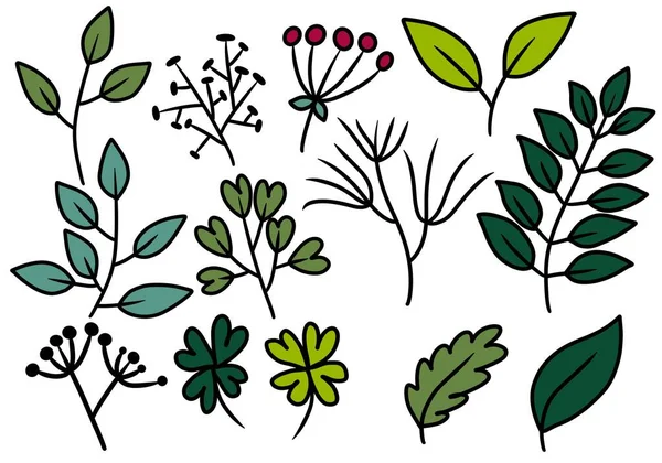 Set with flowers and leaves for stickers and cards and kids and hobbies and linens and fabrics — Stock Photo, Image