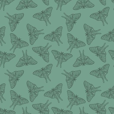 Ay güvesi kumaşlar, ambalaj kağıtları, defterler, yazlık giysiler ve çocuklar için pürüzsüz kelebek deseni. Yüksek kaliteli illüstrasyon