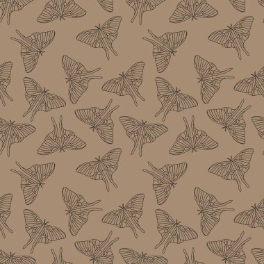 Ay güvesi kumaşlar, ambalaj kağıtları, defterler, yazlık giysiler ve çocuklar için pürüzsüz kelebek deseni. Yüksek kaliteli illüstrasyon
