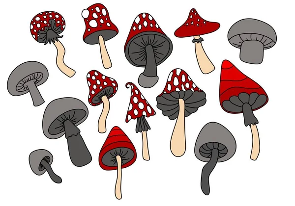 Set Autumn Harvest Mushrooms Halloween Wrapping Paper Stickers Kids Accessories — Stock Photo, Image
