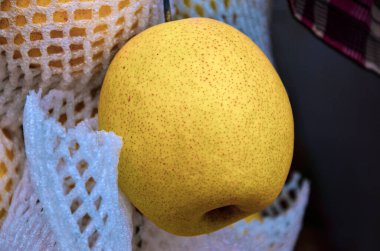 Taze Asya armudu, aynı zamanda Monterrey armudu olarak da bilinir. Satılık piyasada asılı duruyor.