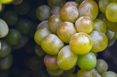 Bir markette yeşil üzümlere yakın çekim taze yenebilir ve şarap yapımında kullanılabilir..