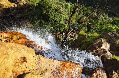 Şelalenin en üst manzarası. Hindistan 'daki şelale manzarası