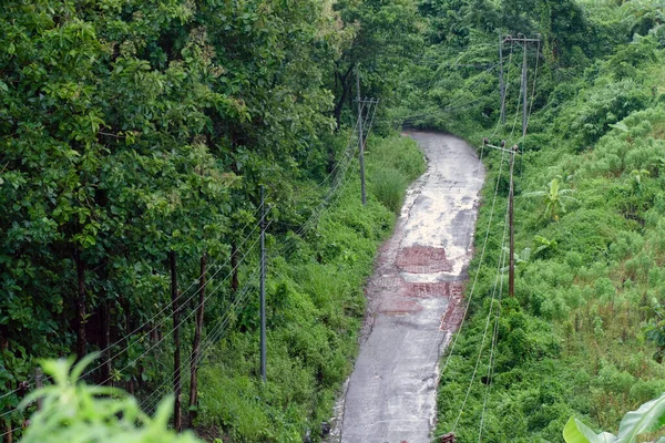 Kaputte Straße Einem Wald Nach Dem Regen Badarban Bangladesch — Stockfoto