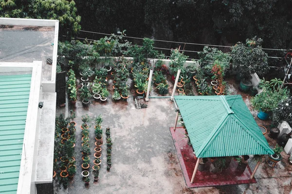 Terrace gardening design ideas. Garden with the shelter of trees on the roof. Birdseye view of a terrace garden after the rain