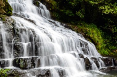 Shillong dağından gelen sütlü suyu yavaş kapla. Güzel fil Hindistan 'dan düşer.