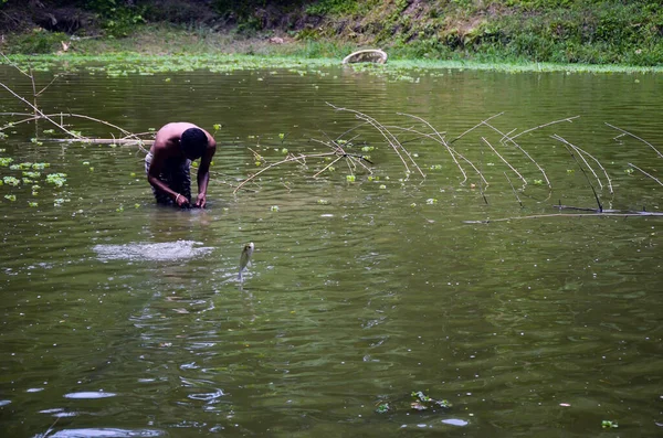 一个人站在池塘中央的水面上抓鱼 一条鱼在水面上飞舞逃跑 — 图库照片