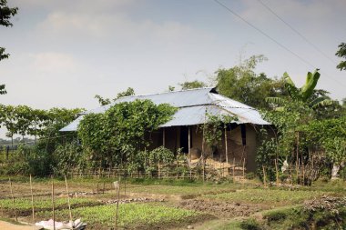 Gowainghat, Bangladeş - 06 Kasım 2019: Çitlerle çevrili bir köy ve teneke çarşaf çatısı üzerinde sebze bahçesi ve toprakları olan düşük sınıf insanların evleri.