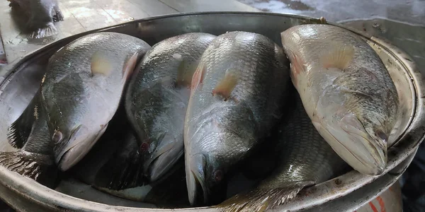 Coral fish on the bowl for selling in the market