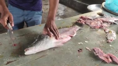 Keskin bir bıçakla mercan balığının kafasını parçalayan ve bağırsaklarını mercan balığından ayıran bir adam..