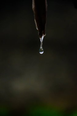 Halattan düşen bir su damlasının yakınına. Yağmur damlası damladıktan sonra asılı halattan damlıyor ve su damlasına yansıyor..