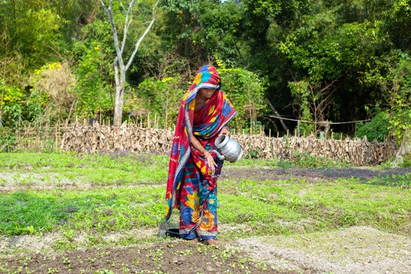 孟加拉国 戈温盖特 2019年11月6日 老妇人洗手浇灌植物 一个照顾菜园的女士浇灌蔬菜园的妇女 家庭园艺 — 图库照片