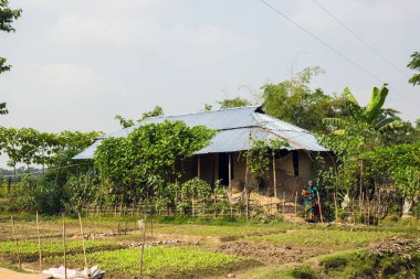 Gowainghat, Bangladeş - 06 Kasım 2019: Kırık bir bambu çit ve teneke çarşaf evindeki ücra bir köyde yaşayan mutlu aile. Fakir bir aileye gıda desteği için çiftlik ve arazi ekimi..
