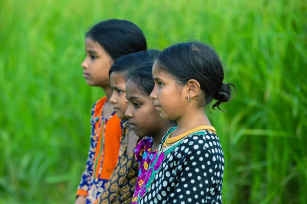 Gowainghat, Bangladeş - 06 Kasım 2019: Kampüste yeşil çeltik tarlalarına karşı okul maçını izleyen kızlara odaklanın.