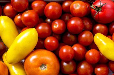 Kırmızı ve sarı domatesler farklı çeşitlerde ve boyutlarda arka plan olarak, üst görünüm