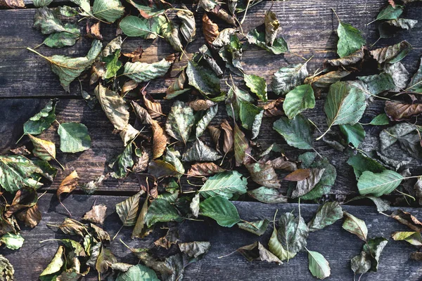 Automne feuilles tombées reposent sur des planches horizontales en bois — Photo