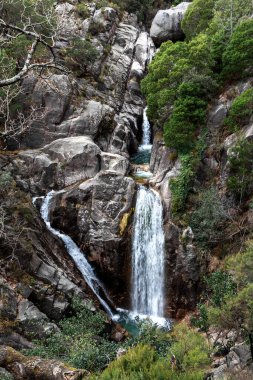 Beautiful waterfall in gray rocks and green trees