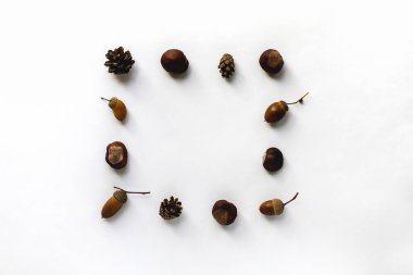 Kestaneler, meşe palamutları ve koniler ortada bir yer olan bir meydanda