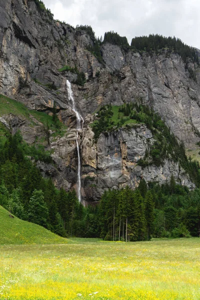 スイスの雄大な険しい灰色の山の風景 そこから美しい白い小川に滝が流れ 緑の木々が周りに成長し 足元には黄色い花の草原があります — ストック写真