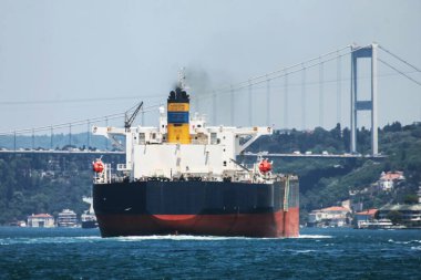 Limanlar arasında mal taşıyan bir konteyner gemisi