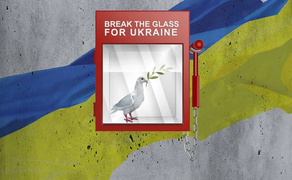 Quebre Vidro Para Ucrânia — Fotografia de Stock