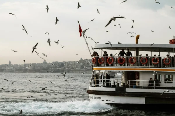 Throwing Simit Seagulls Bosphorus — Stock Photo, Image