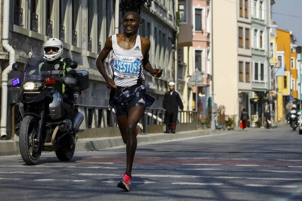 Nkolay Stanbul Yar Maratonu 2022 — Stock Fotó