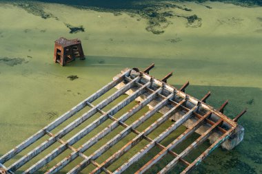 Su yeşildir. Su deposu çiçek açtı. Ekolojik felaketler. Ördek otu su yüzeyini kapladı..